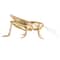 Hello Honey® 5.5" Gold Gilded Garden Grasshopper Décor
